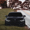 adriannguyen264